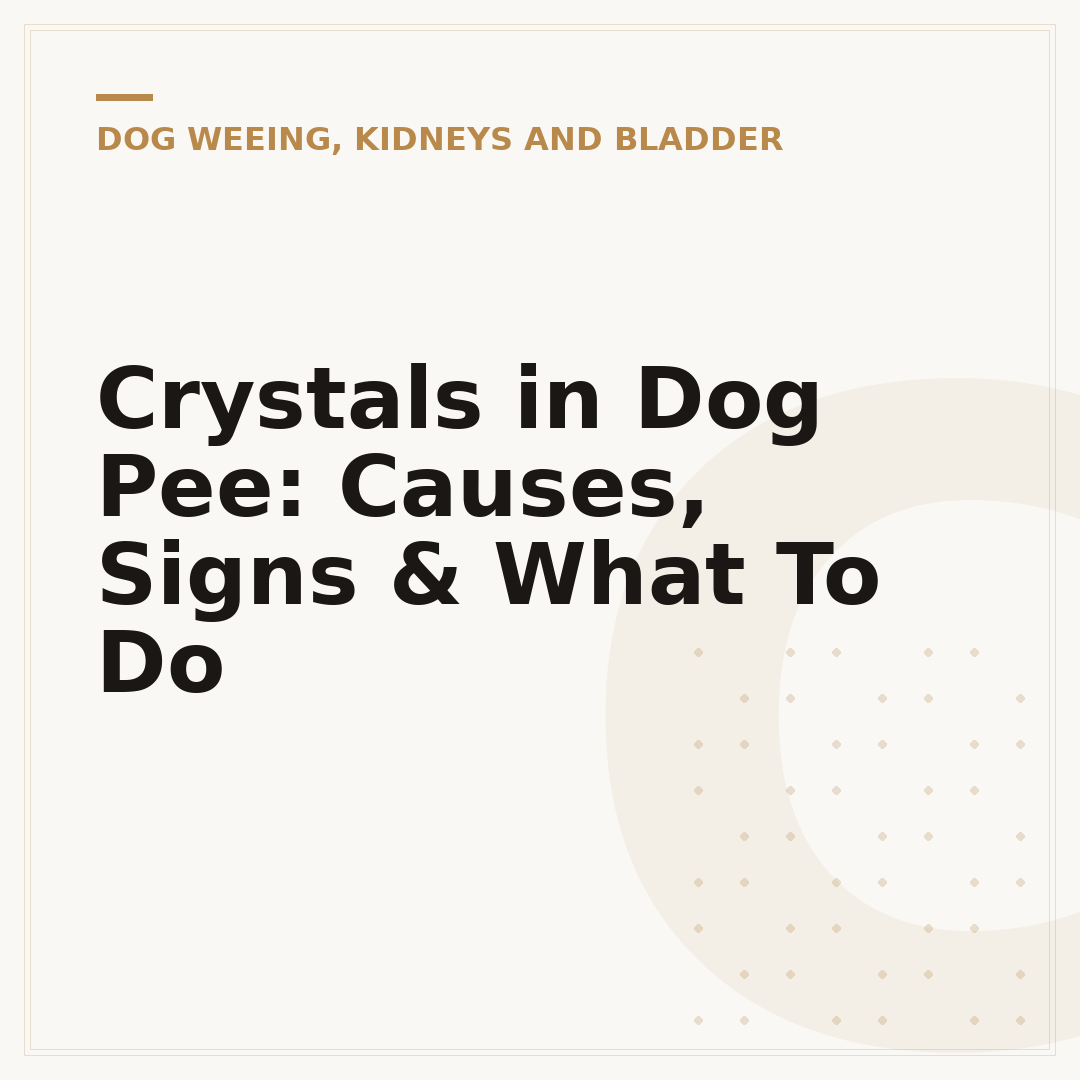 Crystals in Dog Pee: Causes, Signs & What To Do