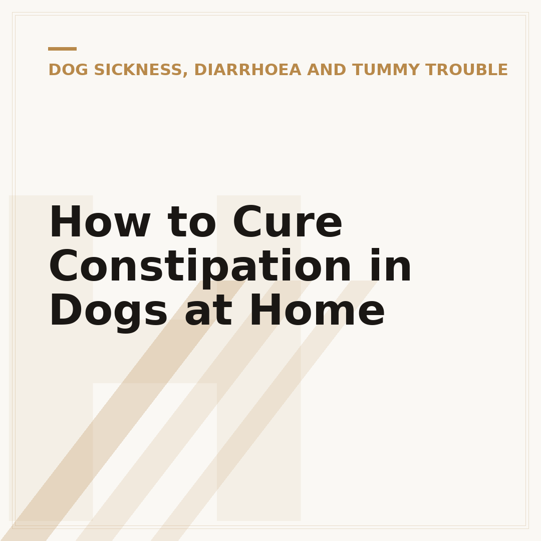 How to Cure Constipation in Dogs at Home