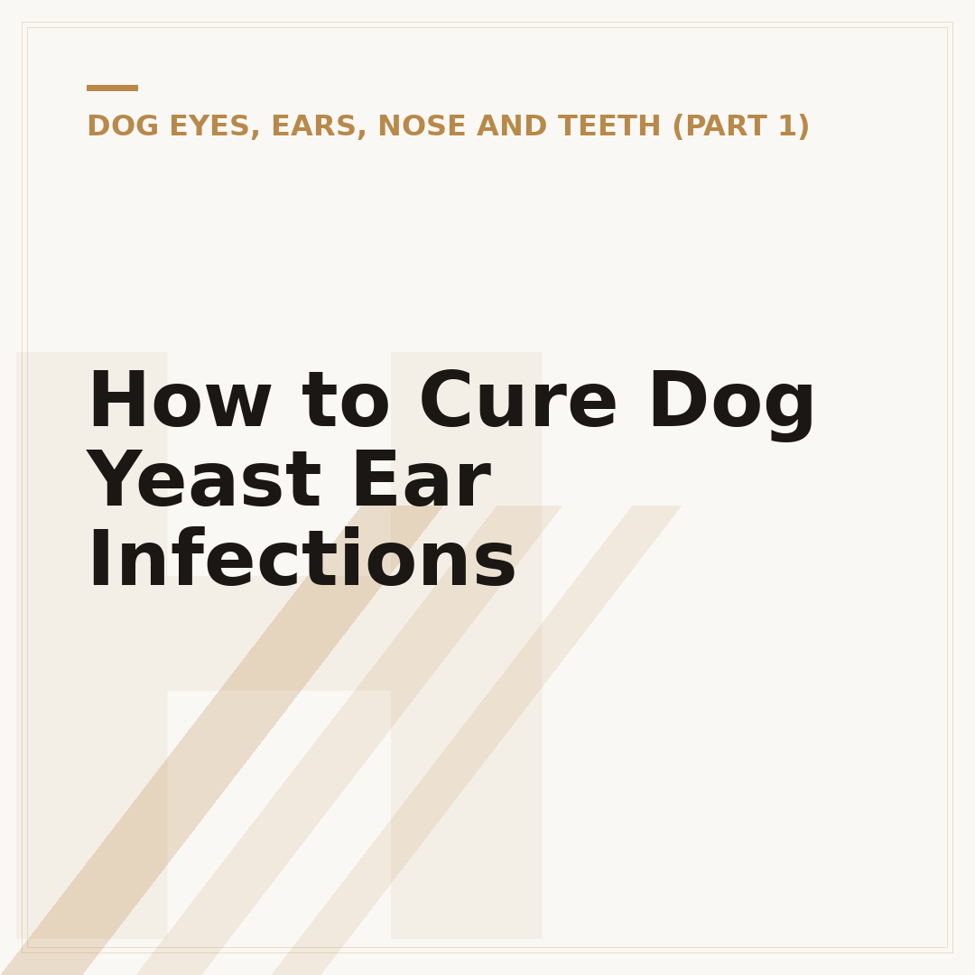 How to Cure Dog Yeast Ear Infections