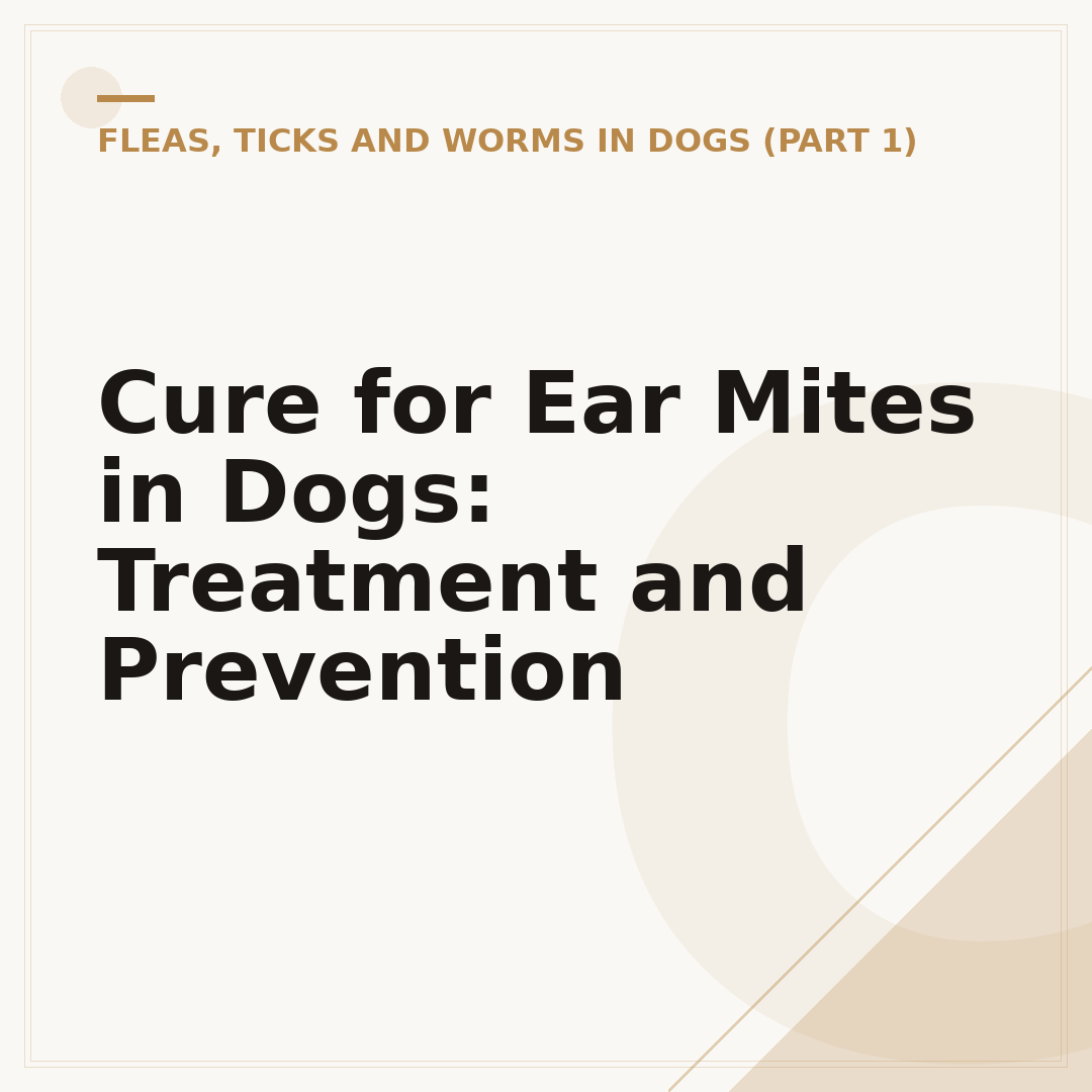 Cure for Ear Mites in Dogs: Treatment and Prevention