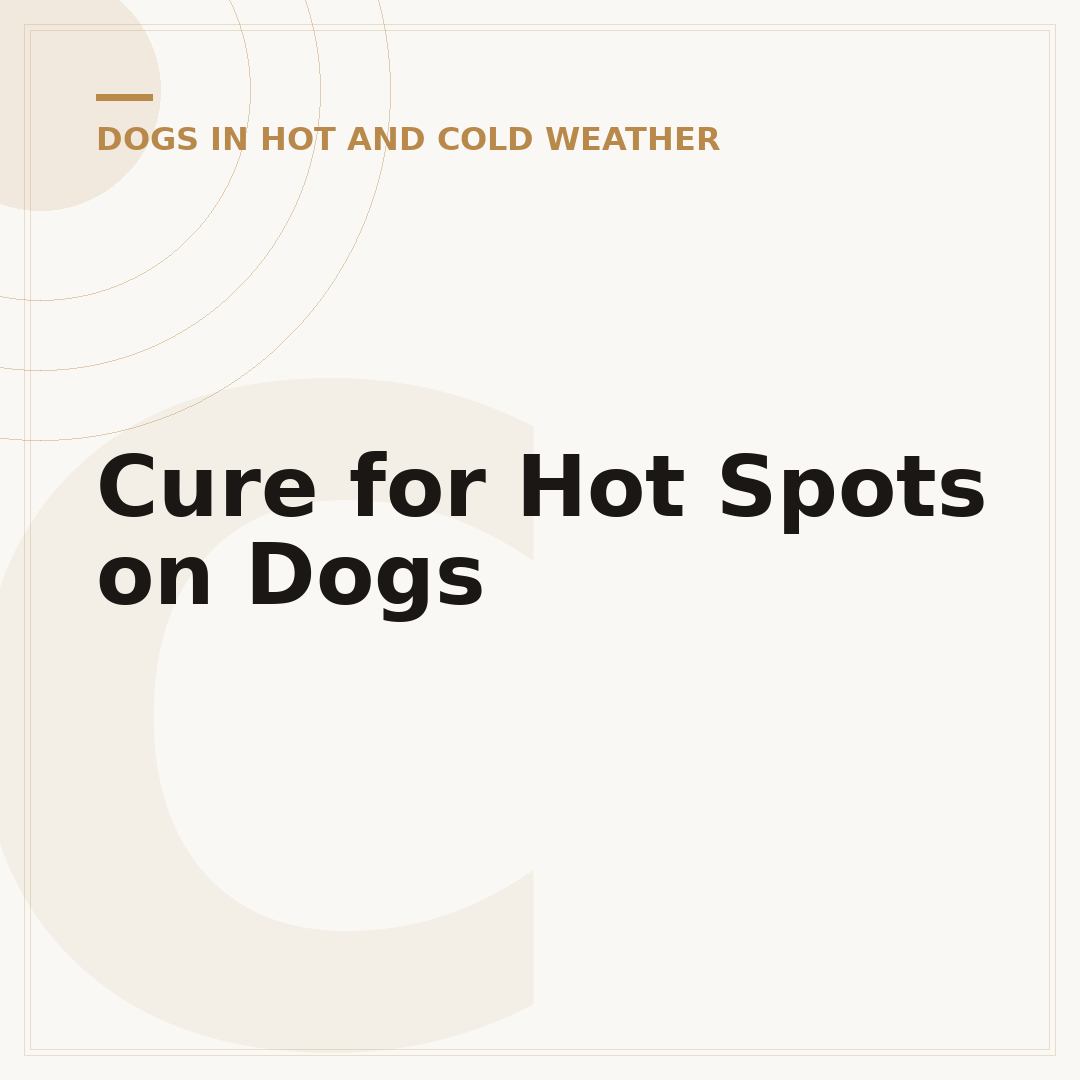 Cure for Hot Spots on Dogs