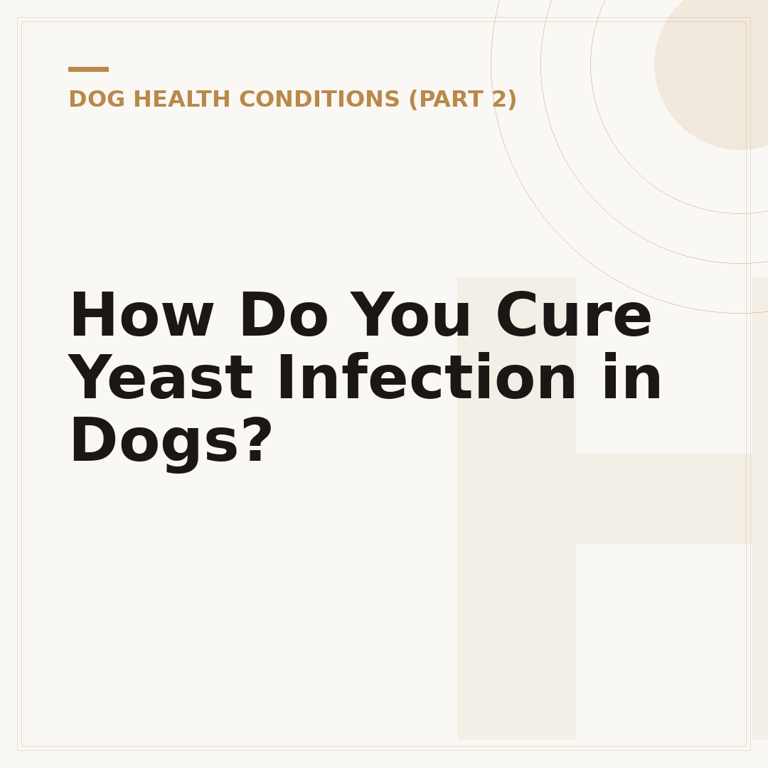 How Do You Cure Yeast Infection in Dogs?