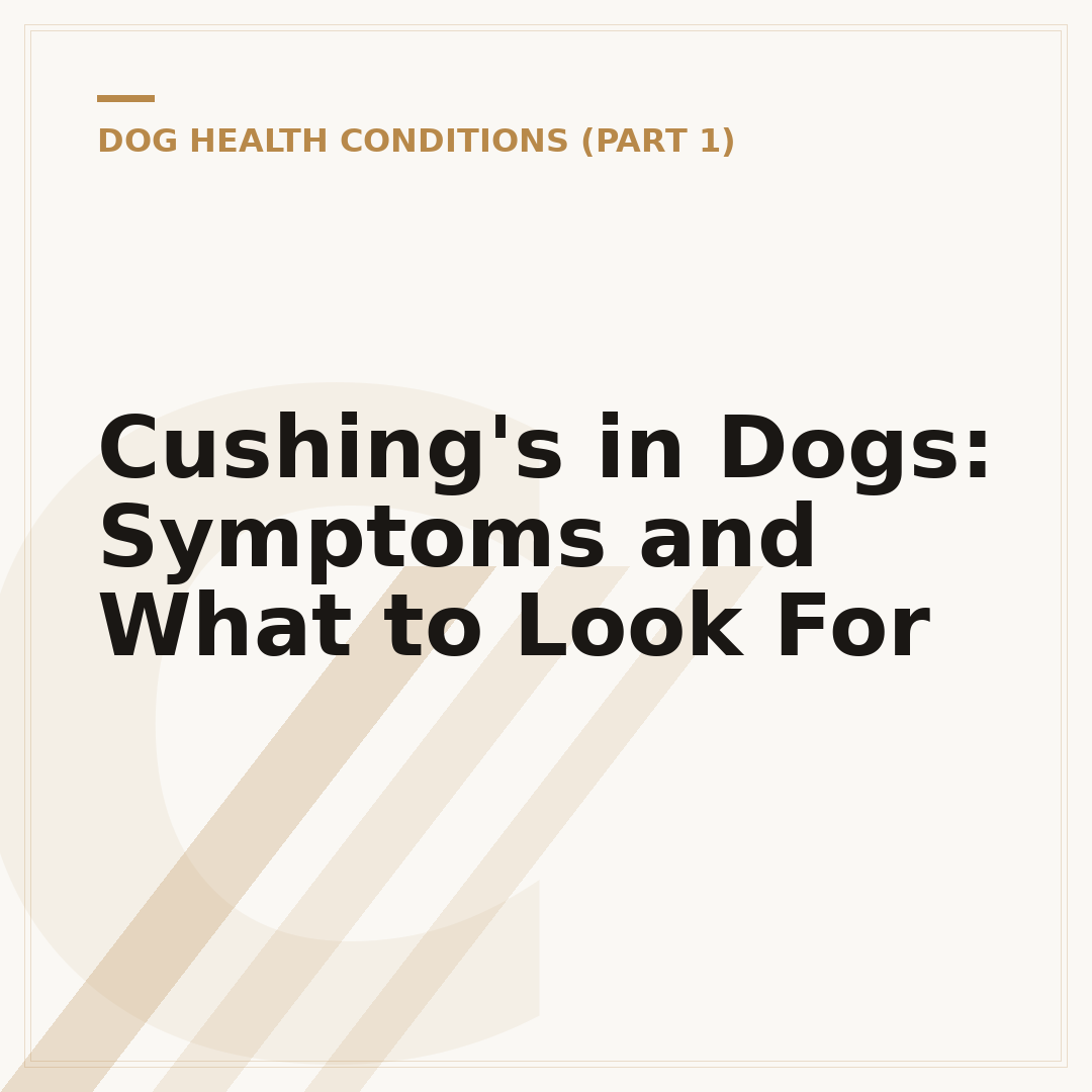Cushing's in Dogs: Symptoms and What to Look For