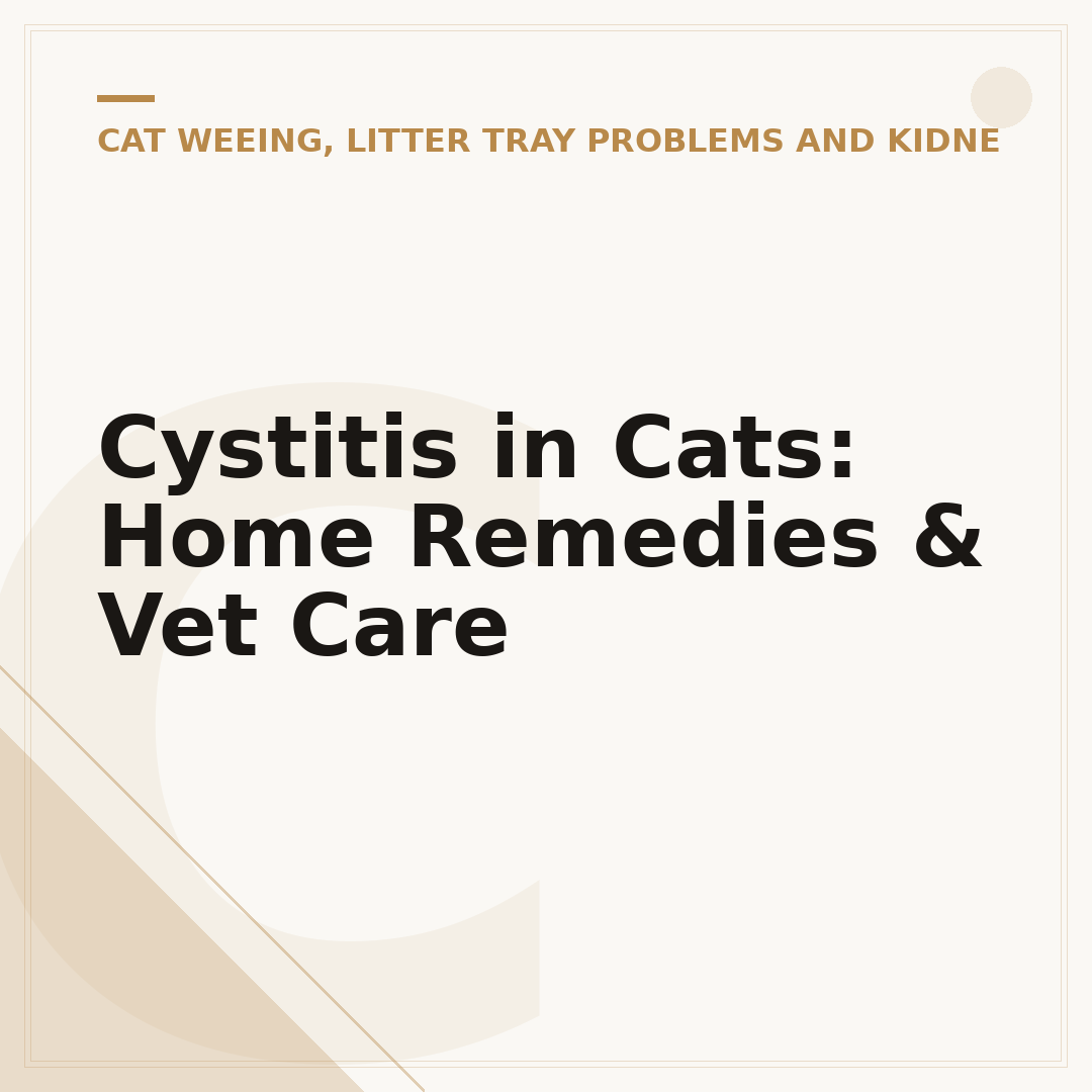 Cystitis in Cats: Home Remedies & Vet Care