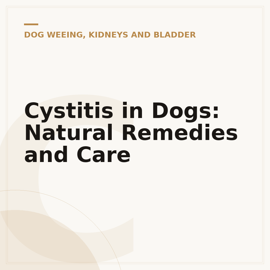 Cystitis in Dogs: Natural Remedies and Care
