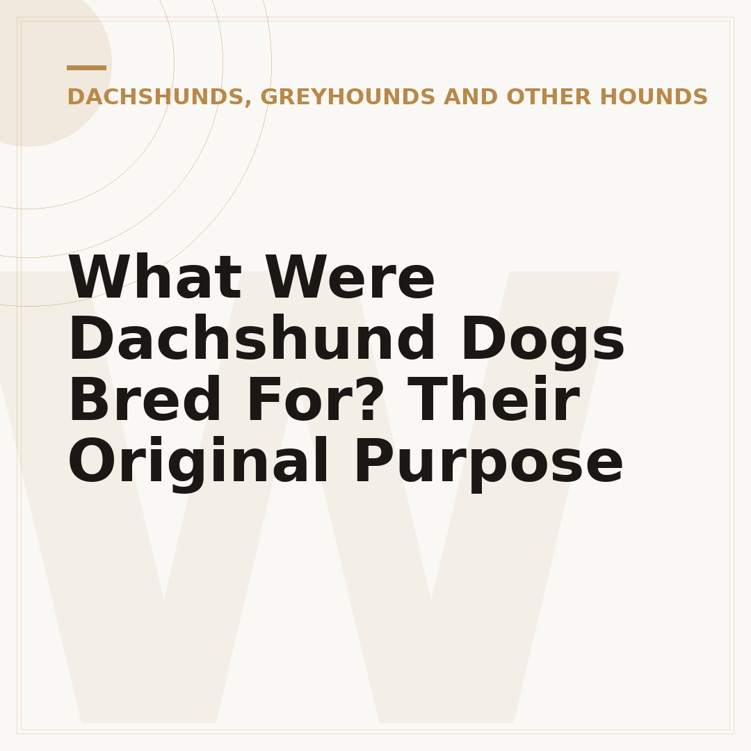 What Were Dachshund Dogs Bred For? Their Original Purpose
