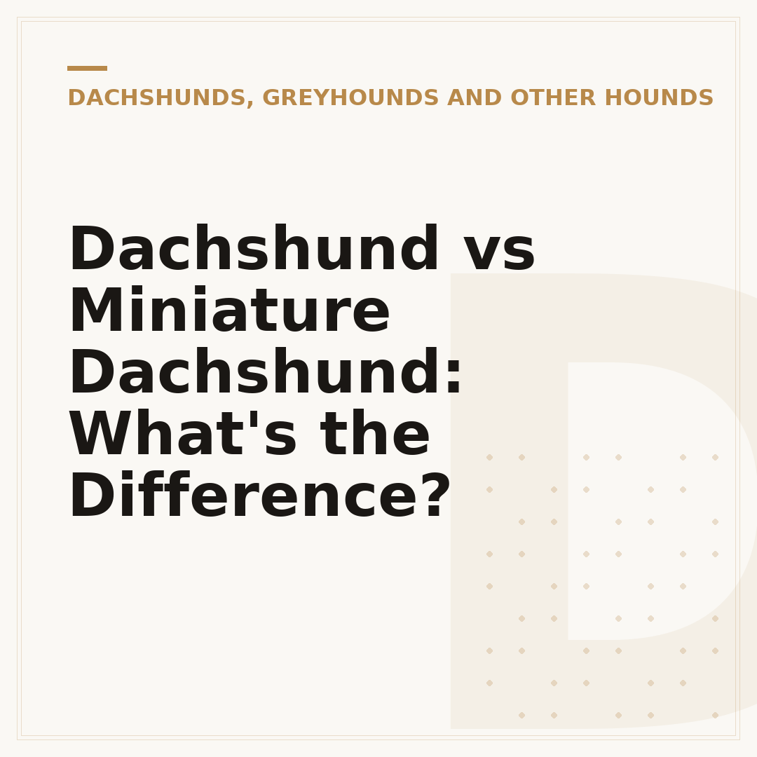 Dachshund vs Miniature Dachshund: What's the Difference?