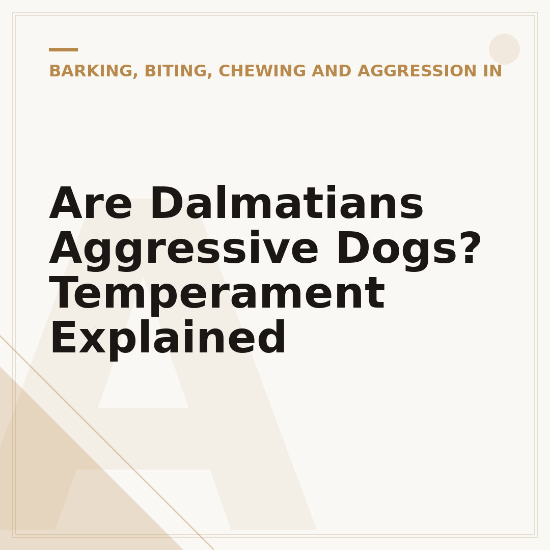 Are Dalmatians Aggressive Dogs? Temperament Explained