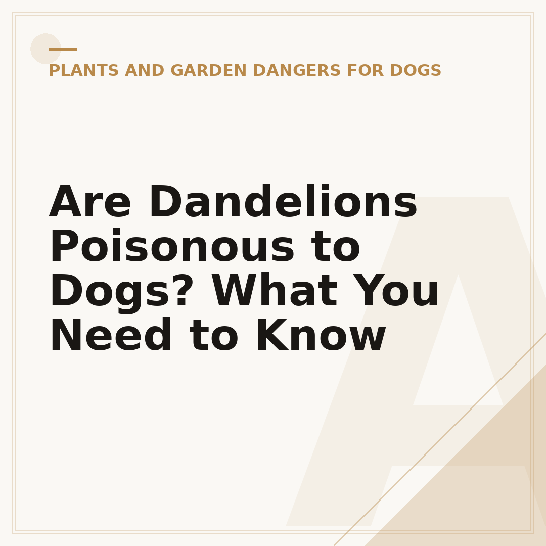 Are Dandelions Poisonous to Dogs? What You Need to Know