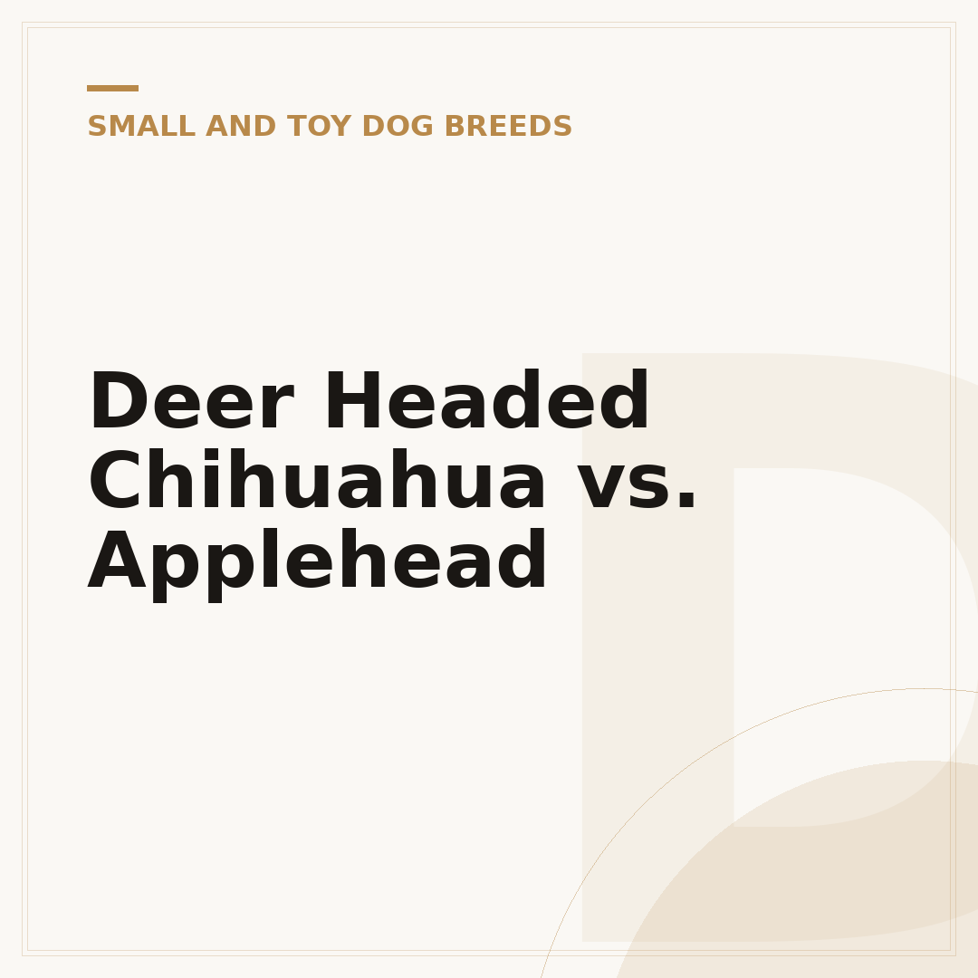Deer Headed Chihuahua vs. Applehead