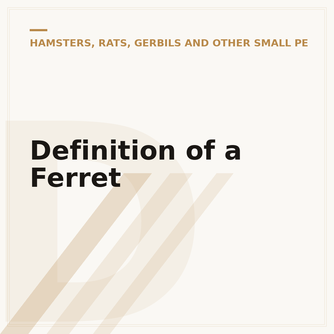 Definition of a Ferret