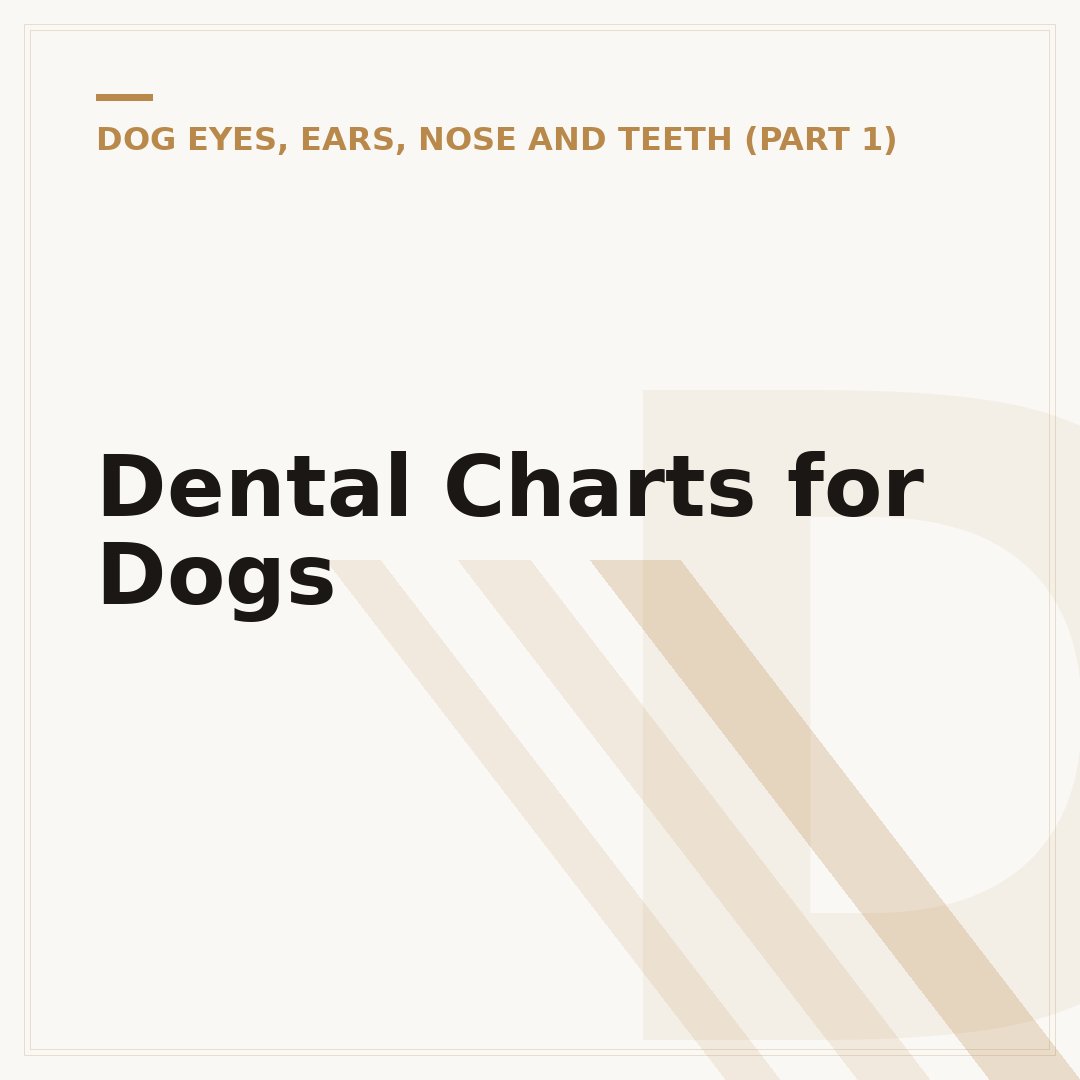 Dental Charts for Dogs