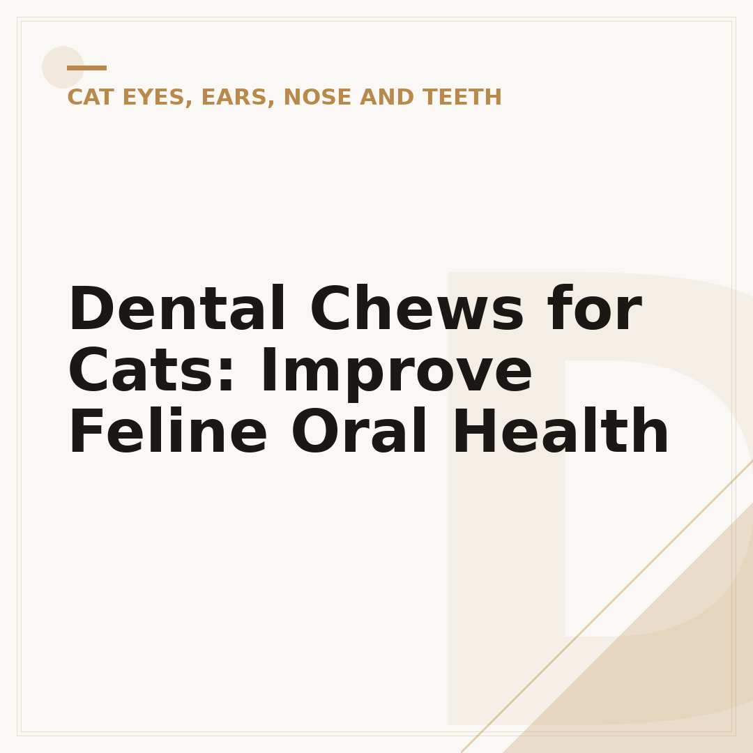 Dental Chews for Cats: Improve Feline Oral Health