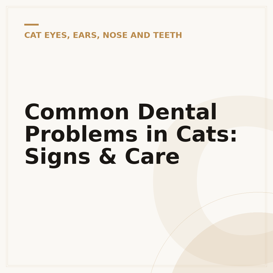 Common Dental Problems in Cats: Signs & Care