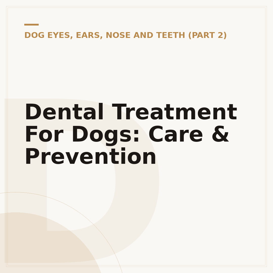 Dental Treatment For Dogs: Care & Prevention