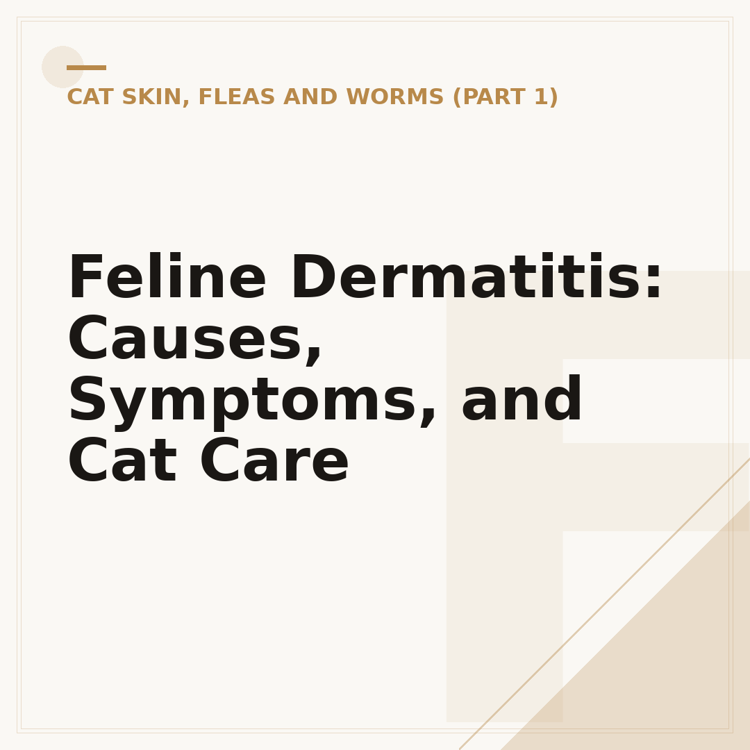 Feline Dermatitis: Causes, Symptoms, and Cat Care