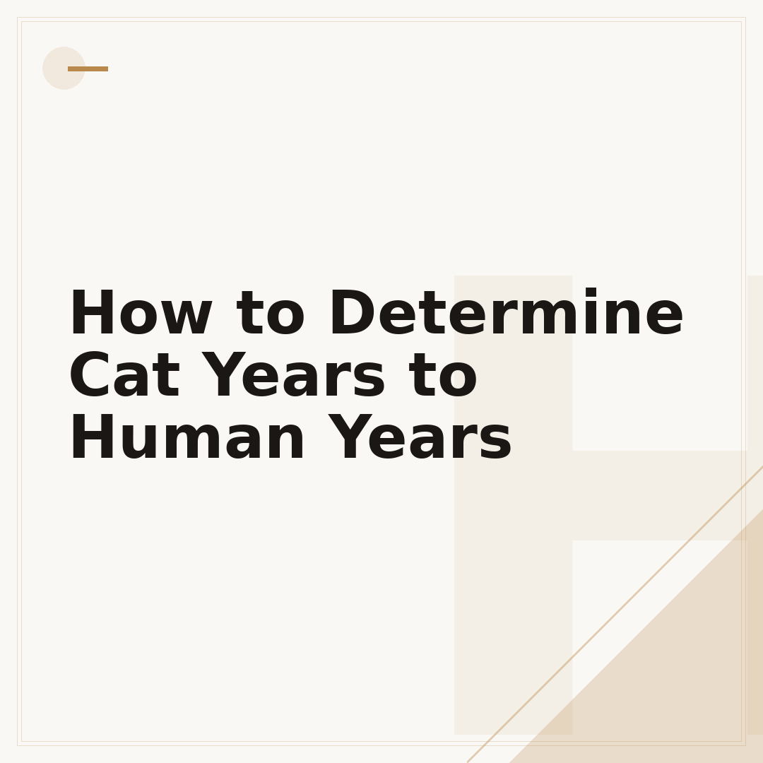 How to Determine Cat Years to Human Years