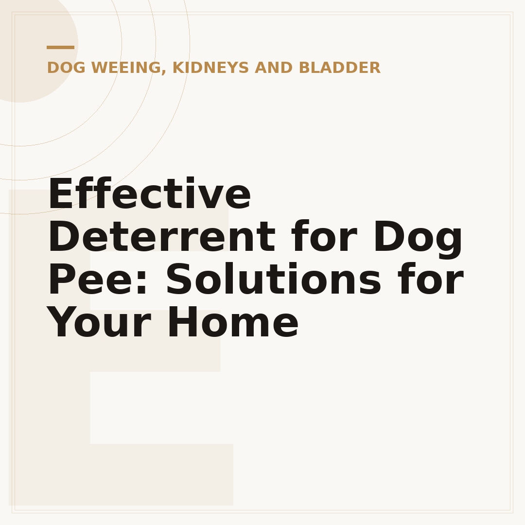 Effective Deterrent for Dog Pee: Solutions for Your Home