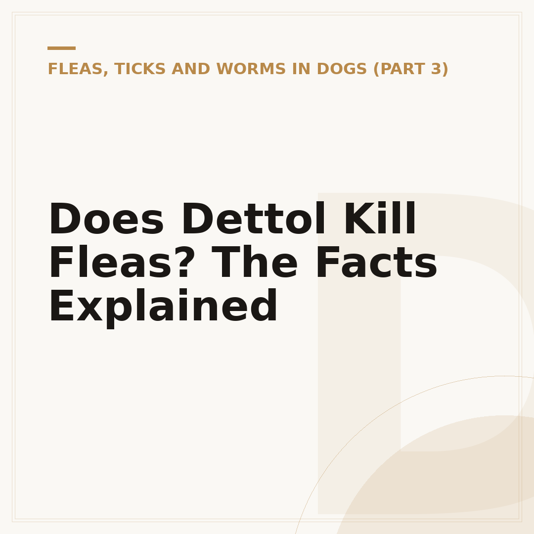 Does Dettol Kill Fleas? The Facts Explained