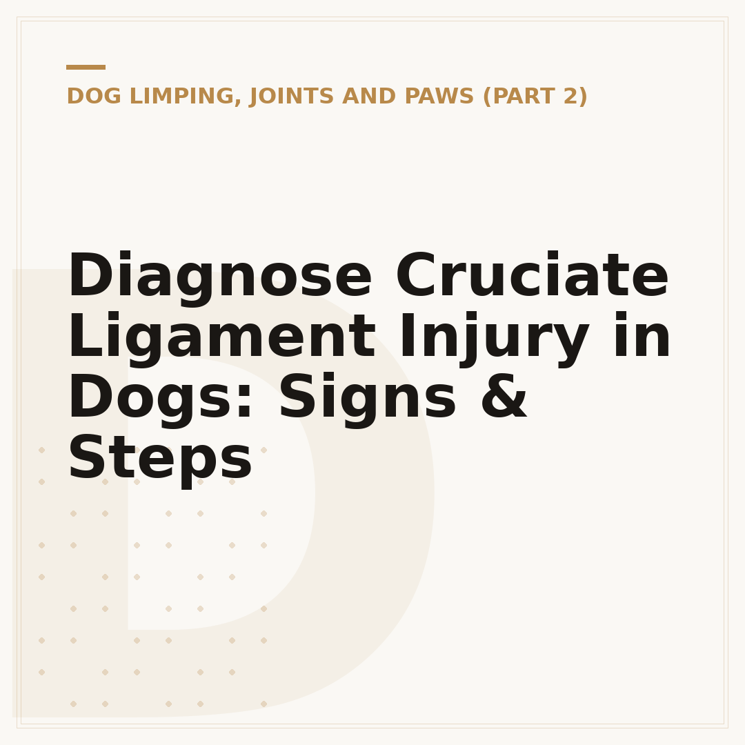 Diagnose Cruciate Ligament Injury in Dogs: Signs & Steps