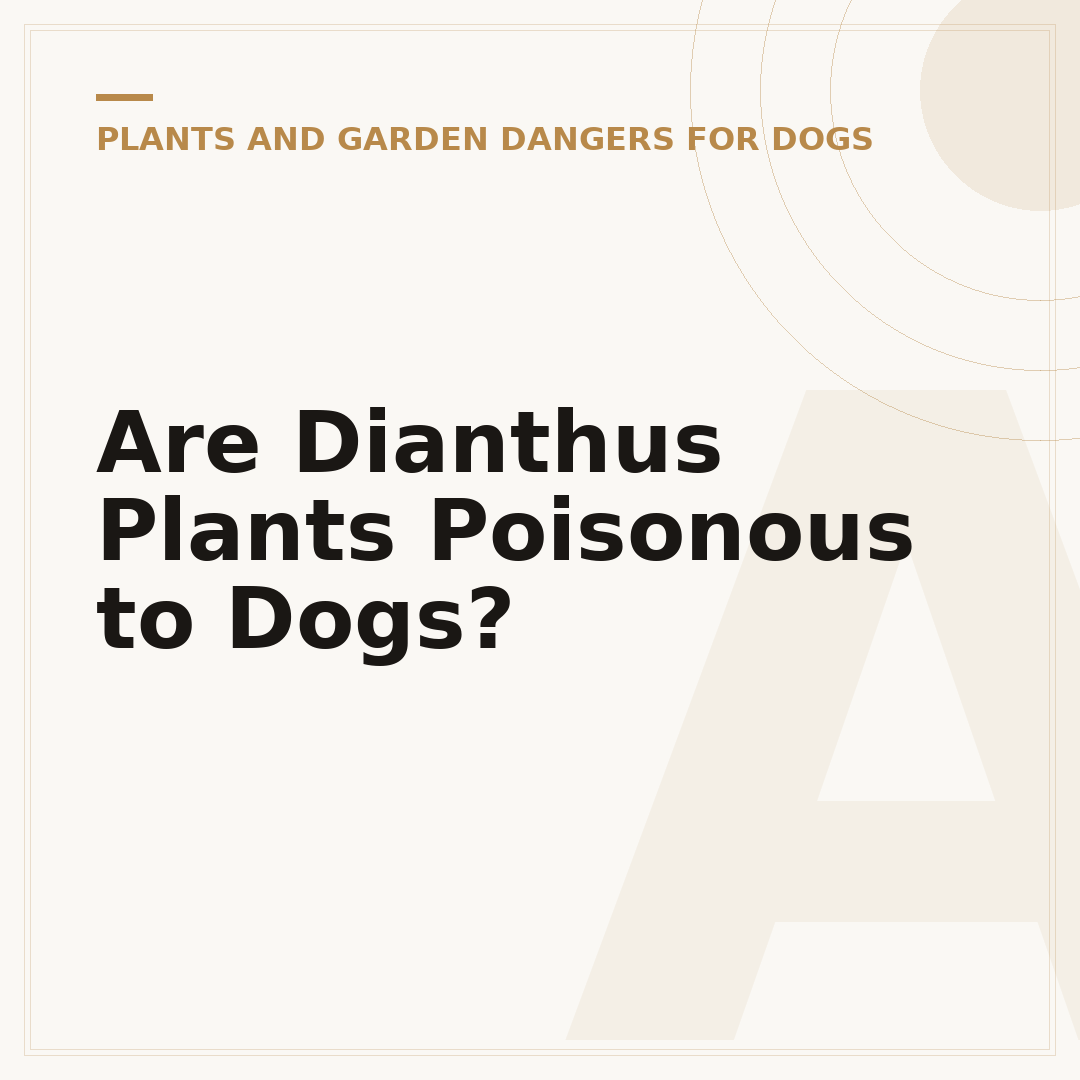 Are Dianthus Plants Poisonous to Dogs?