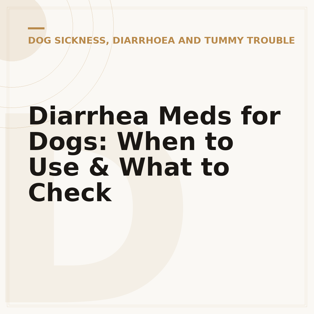 Diarrhea Meds for Dogs: When to Use & What to Check