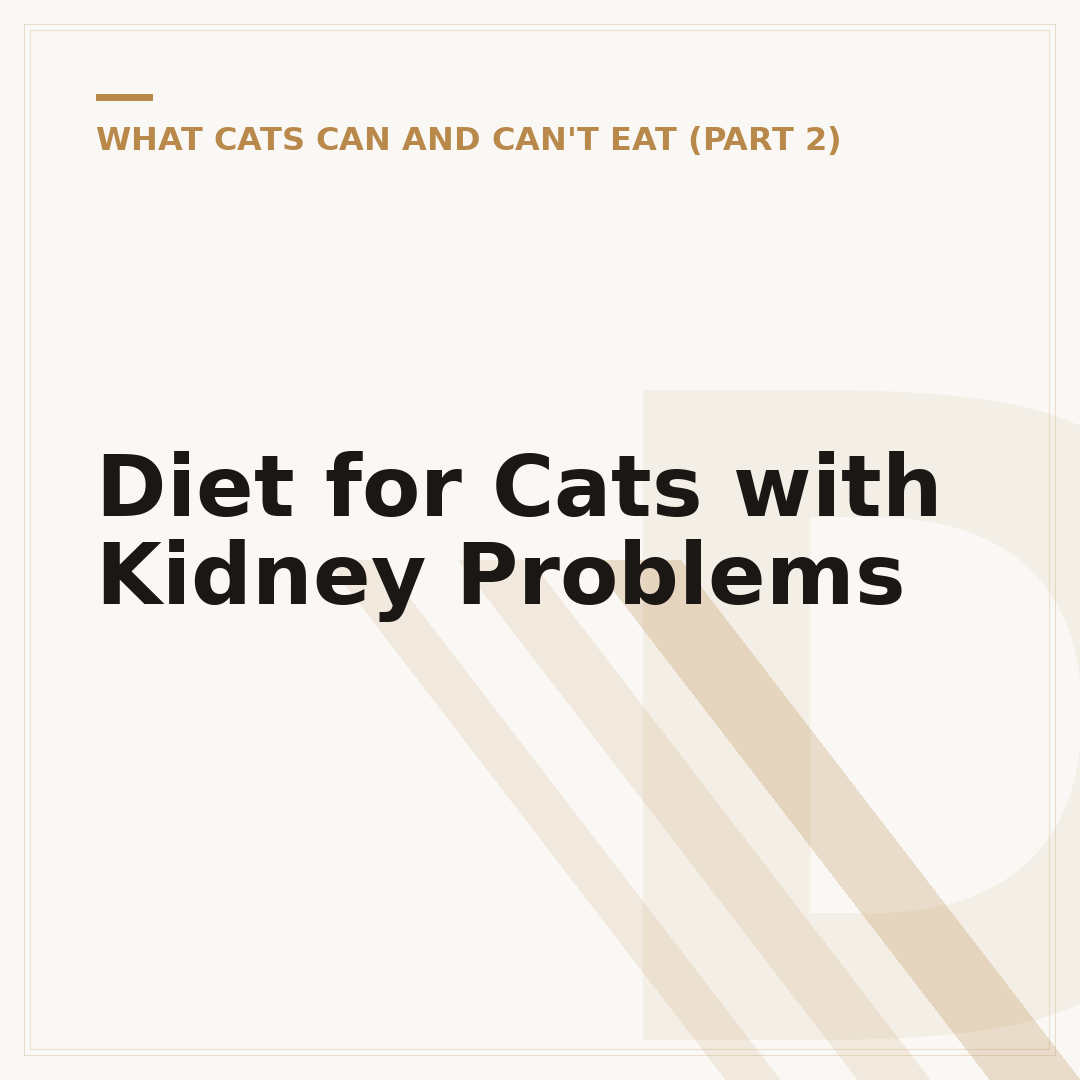 Diet for Cats with Kidney Problems