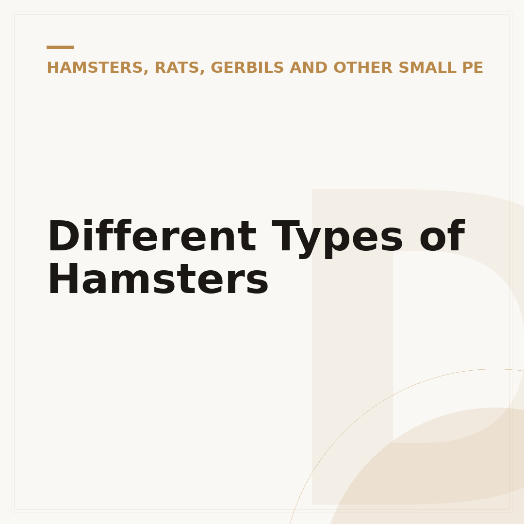Different Types of Hamsters