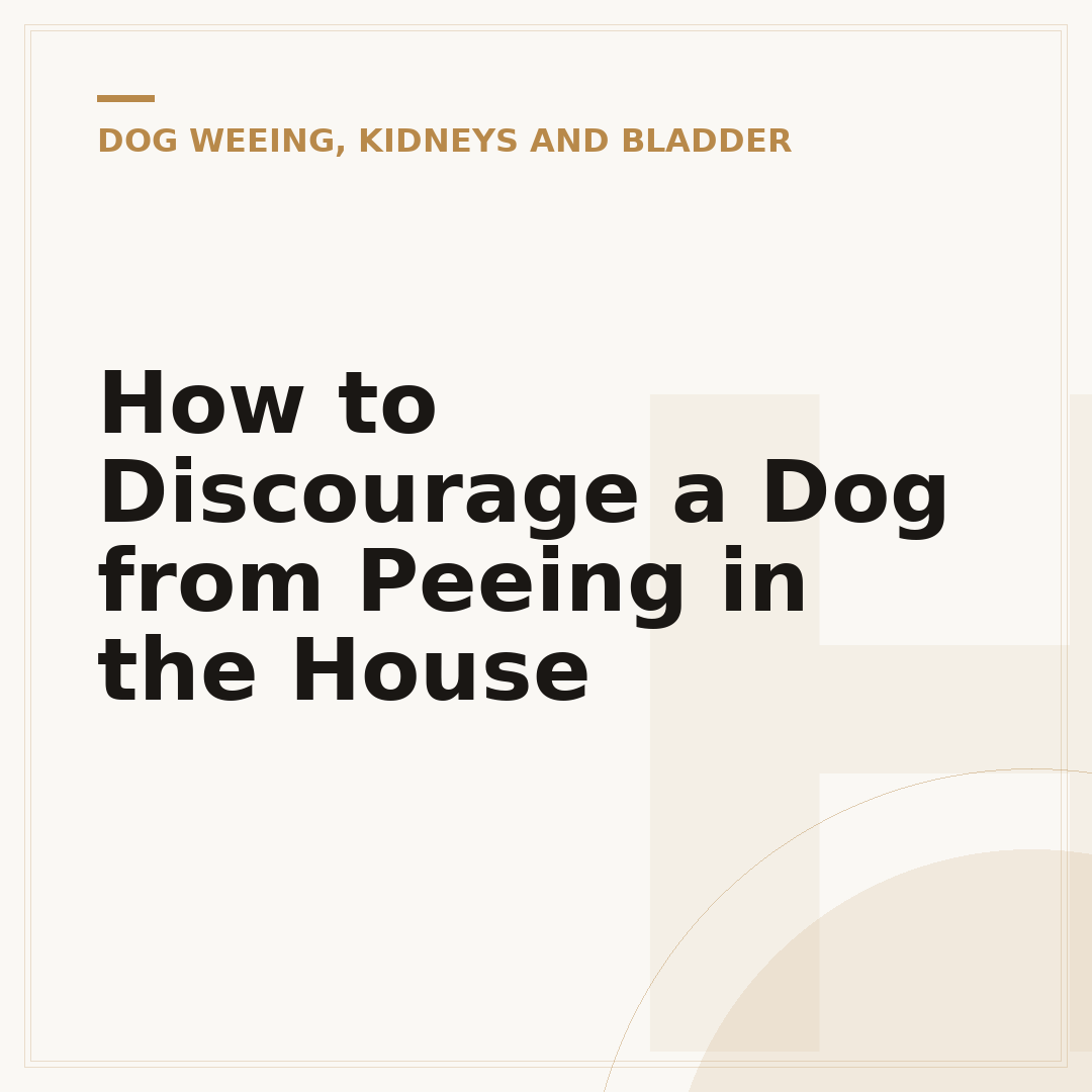 How to Discourage a Dog from Peeing in the House