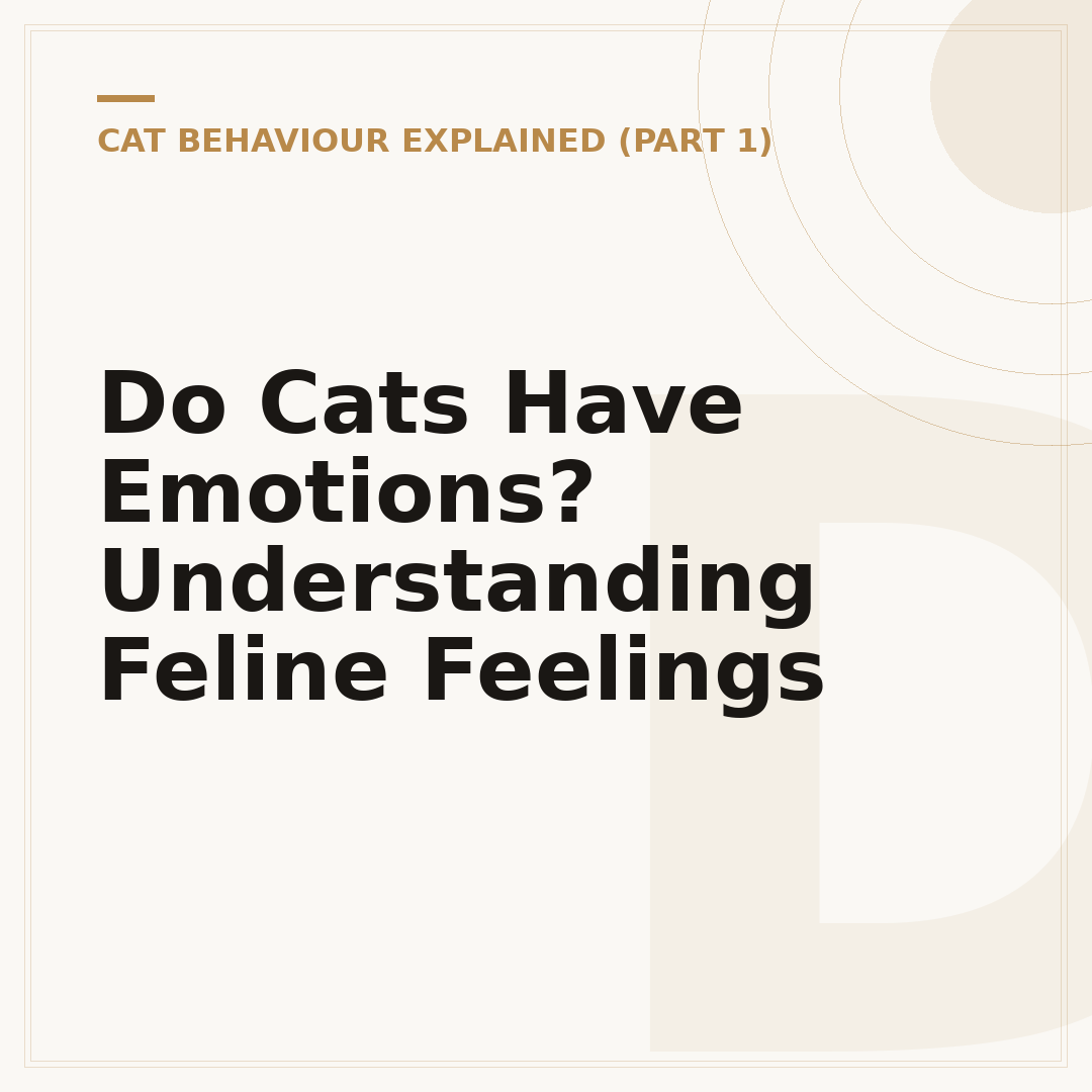 Do Cats Have Emotions? Understanding Feline Feelings