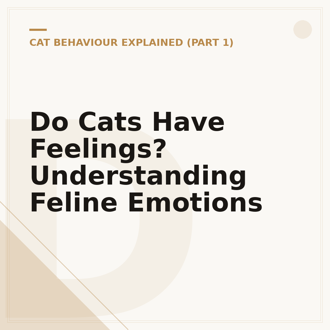 Do Cats Have Feelings? Understanding Feline Emotions
