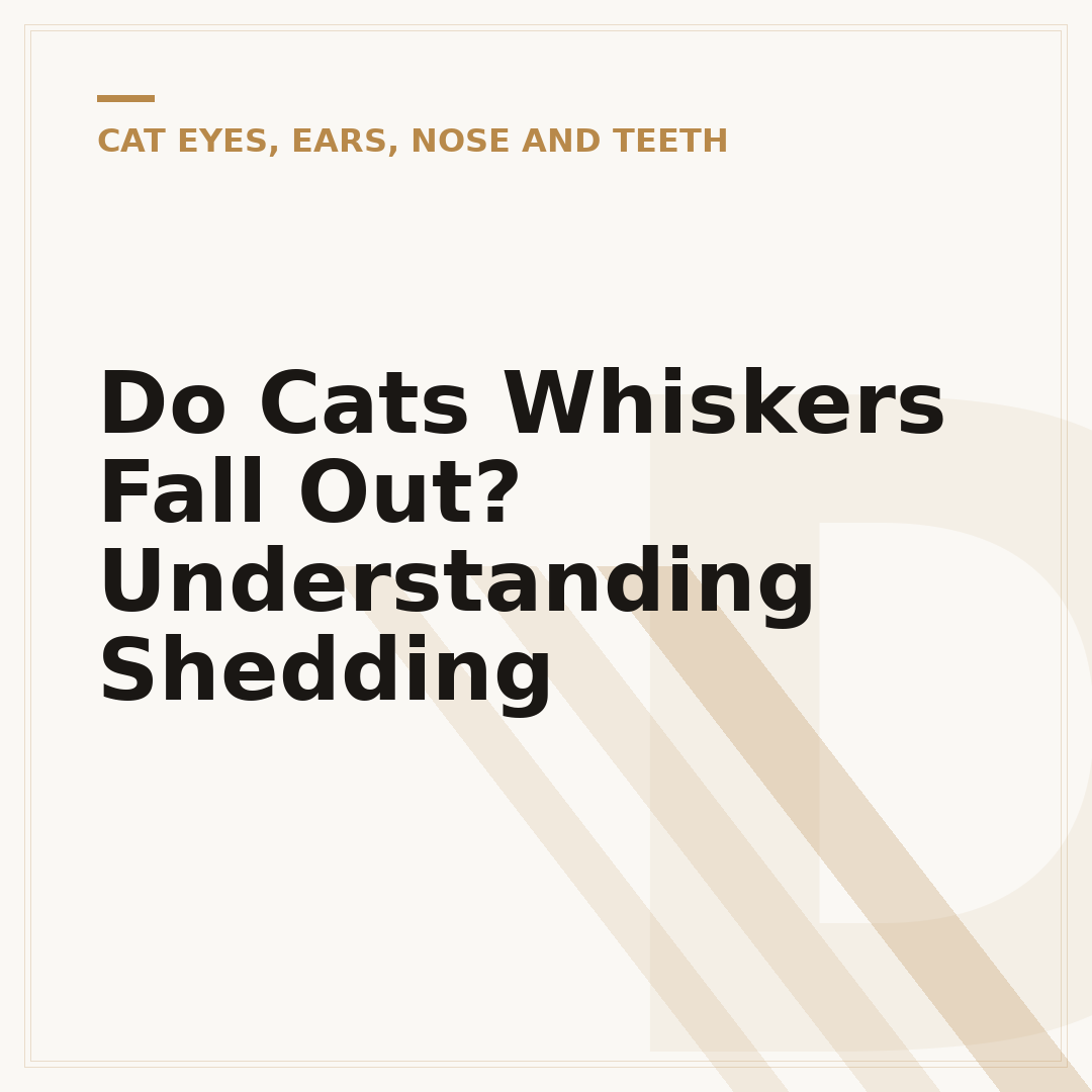 Do Cats Whiskers Fall Out? Understanding Shedding