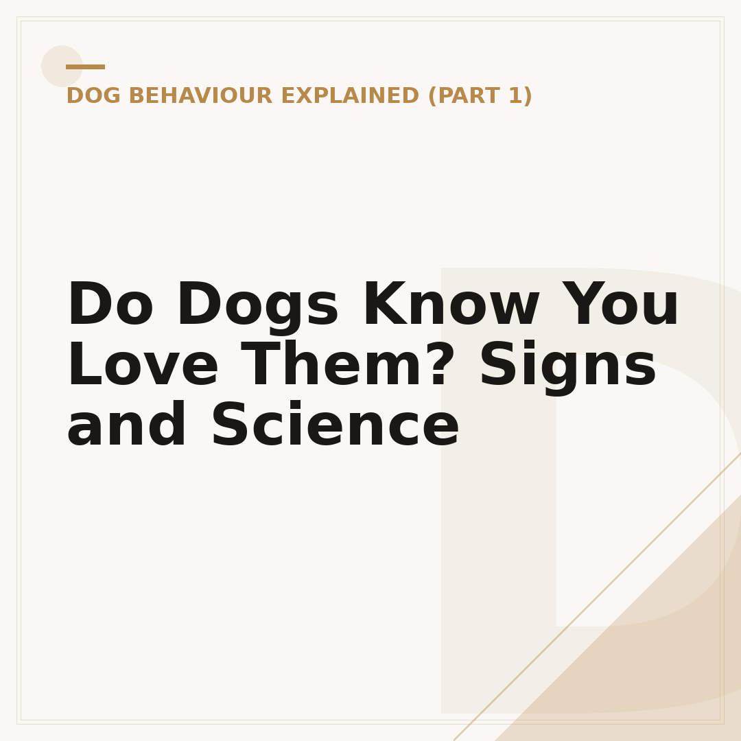 Do Dogs Know You Love Them? Signs and Science
