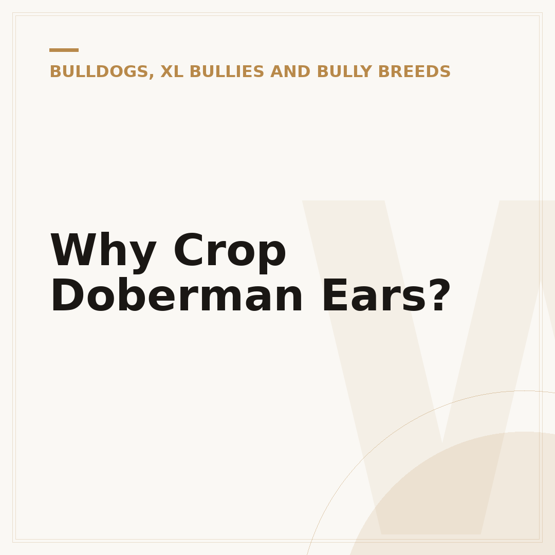 Why Crop Doberman Ears?