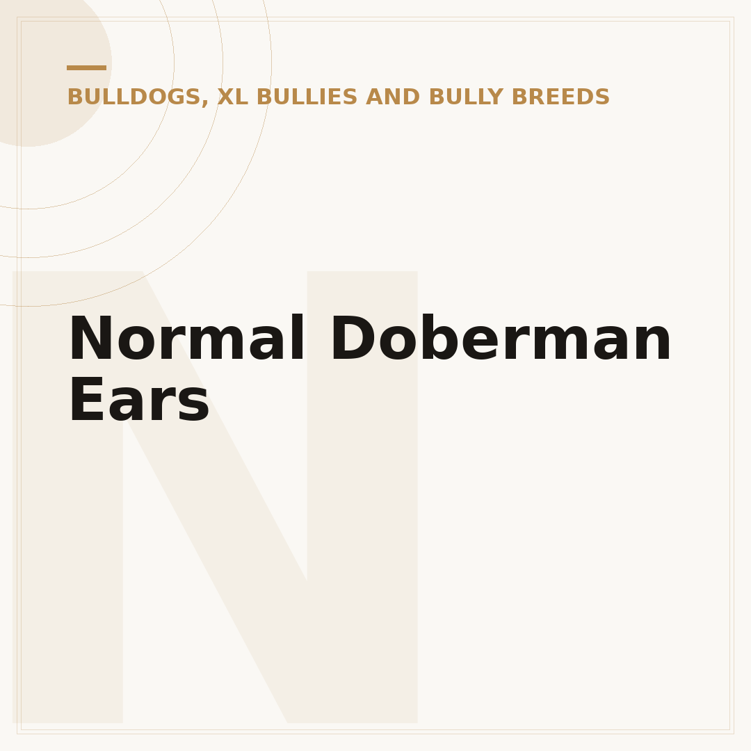 Normal Doberman Ears