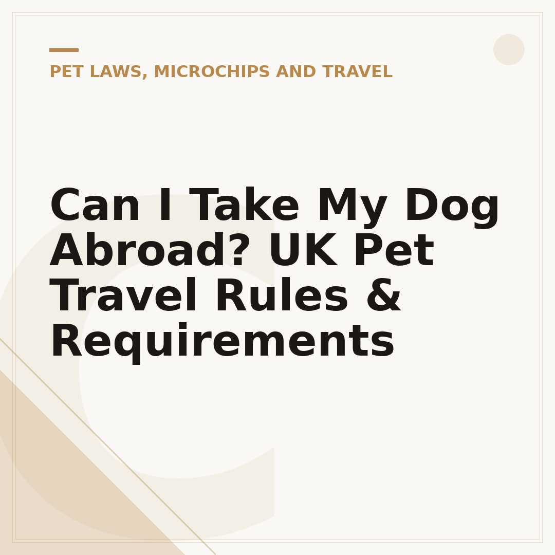 Can I Take My Dog Abroad? UK Pet Travel Rules & Requirements