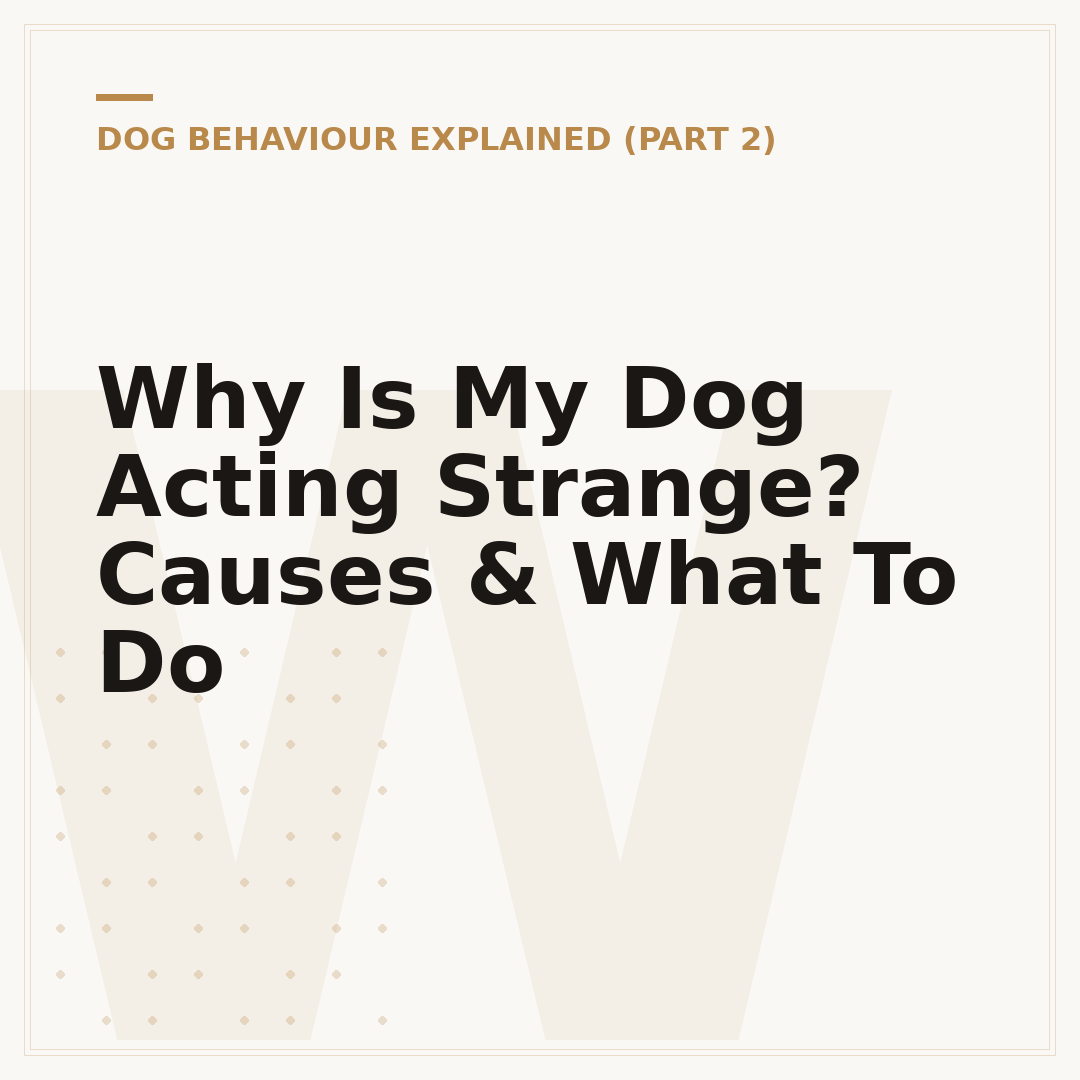 Why Is My Dog Acting Strange? Causes & What To Do