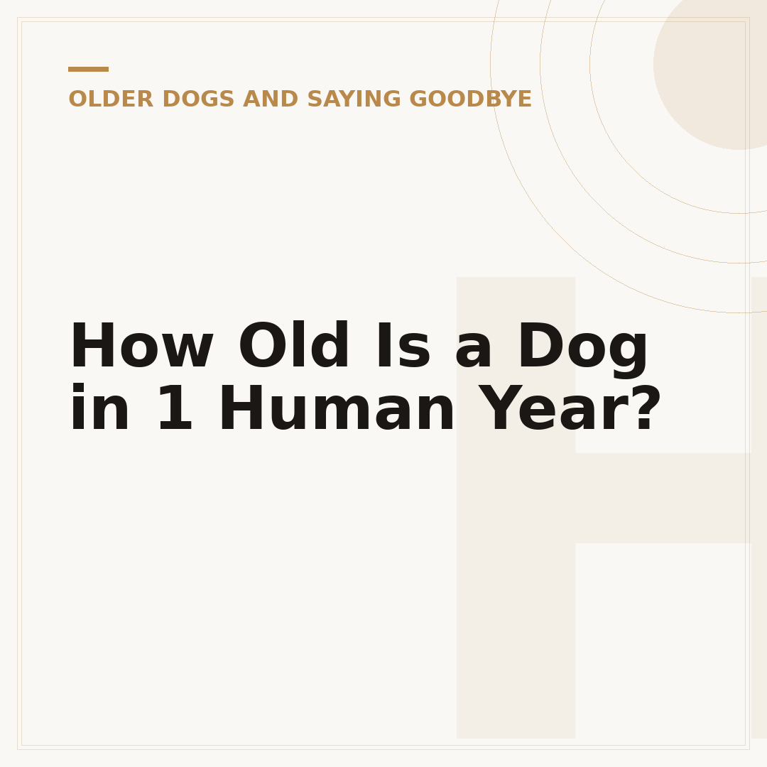 How Old Is a Dog in 1 Human Year?