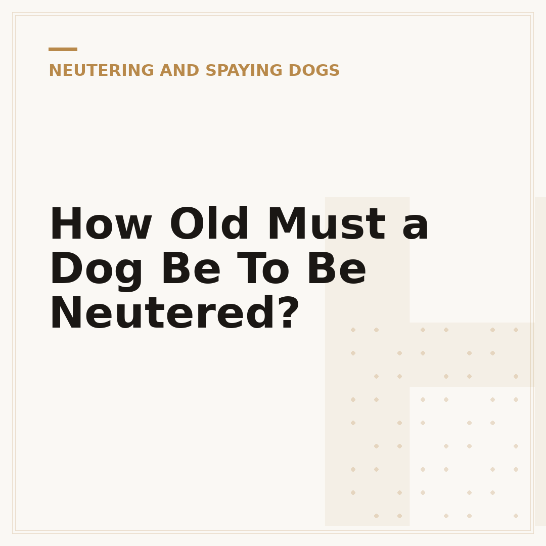 How Old Must a Dog Be To Be Neutered?