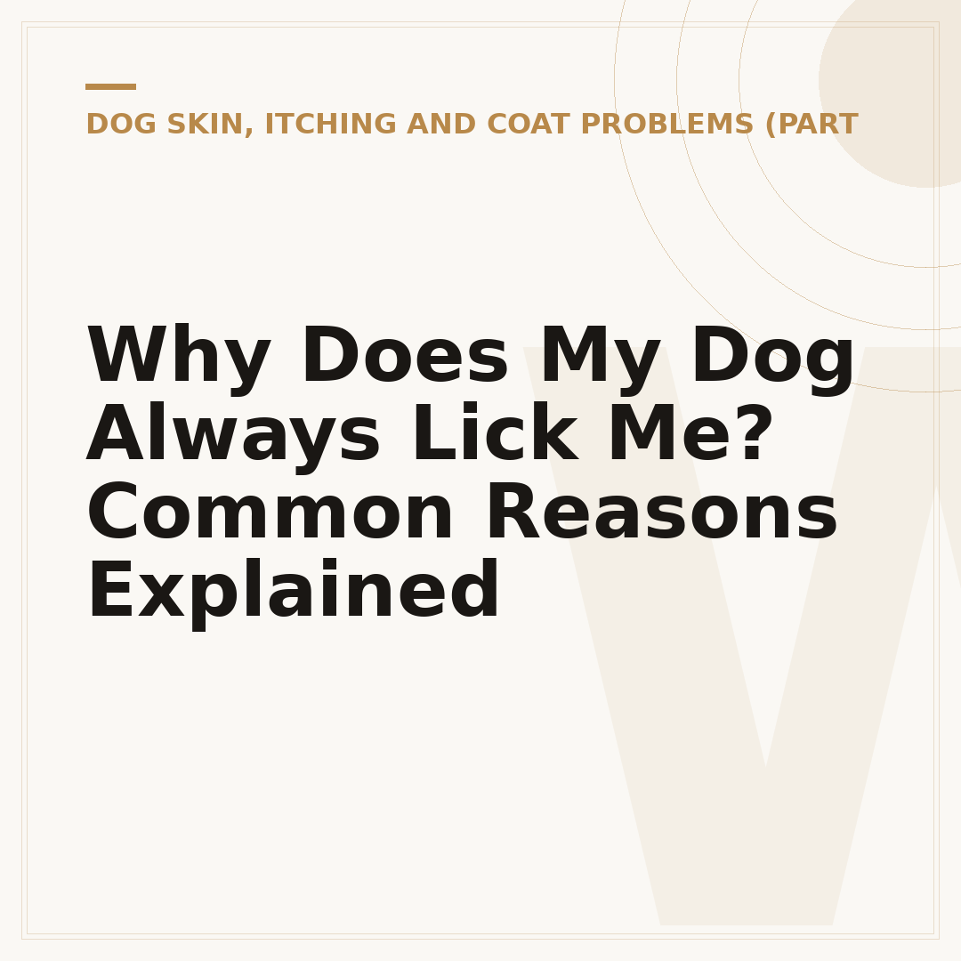 Why Does My Dog Always Lick Me? Common Reasons Explained