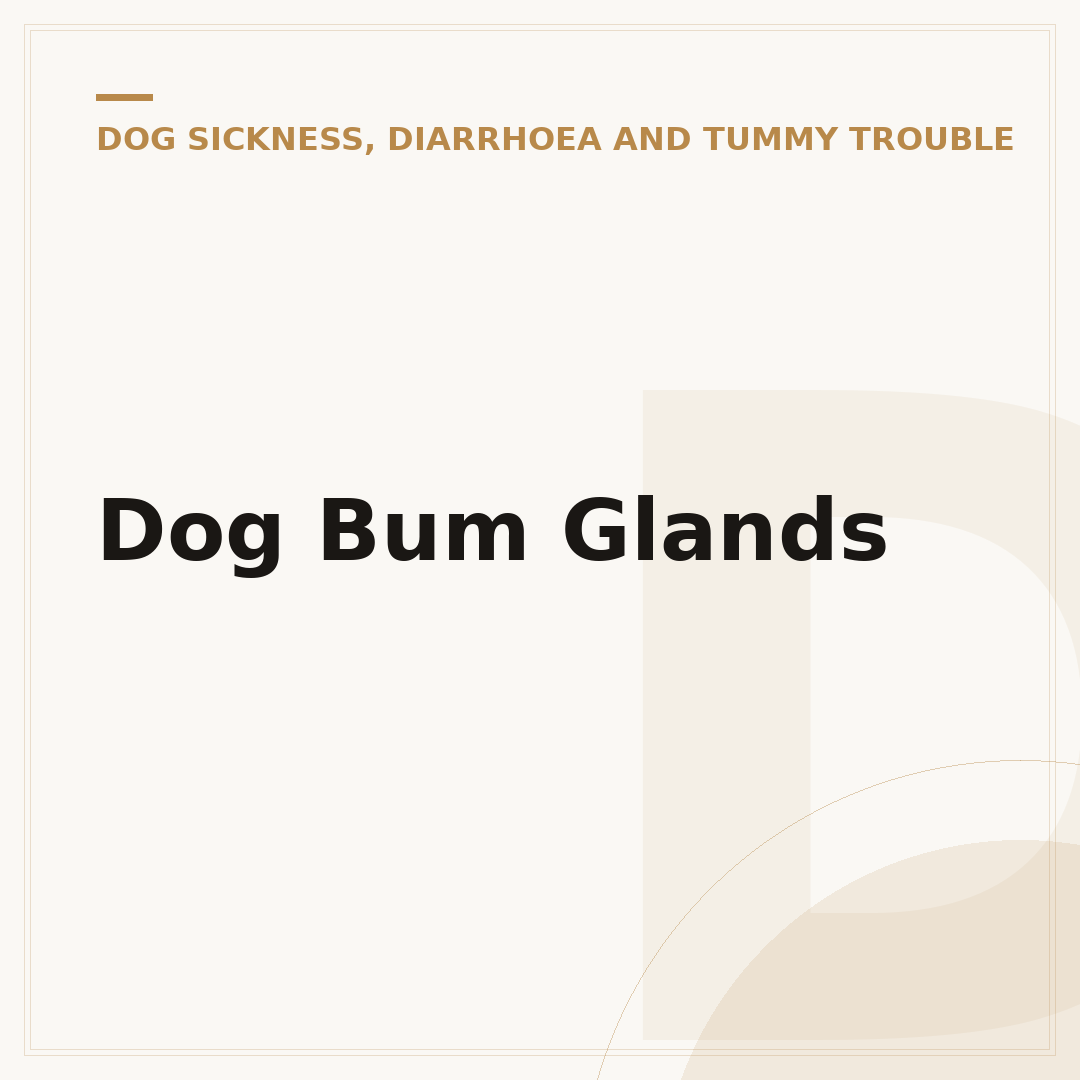 Dog Bum Glands
