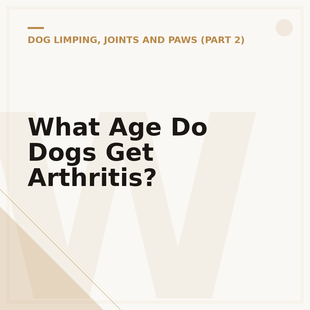 What Age Do Dogs Get Arthritis?
