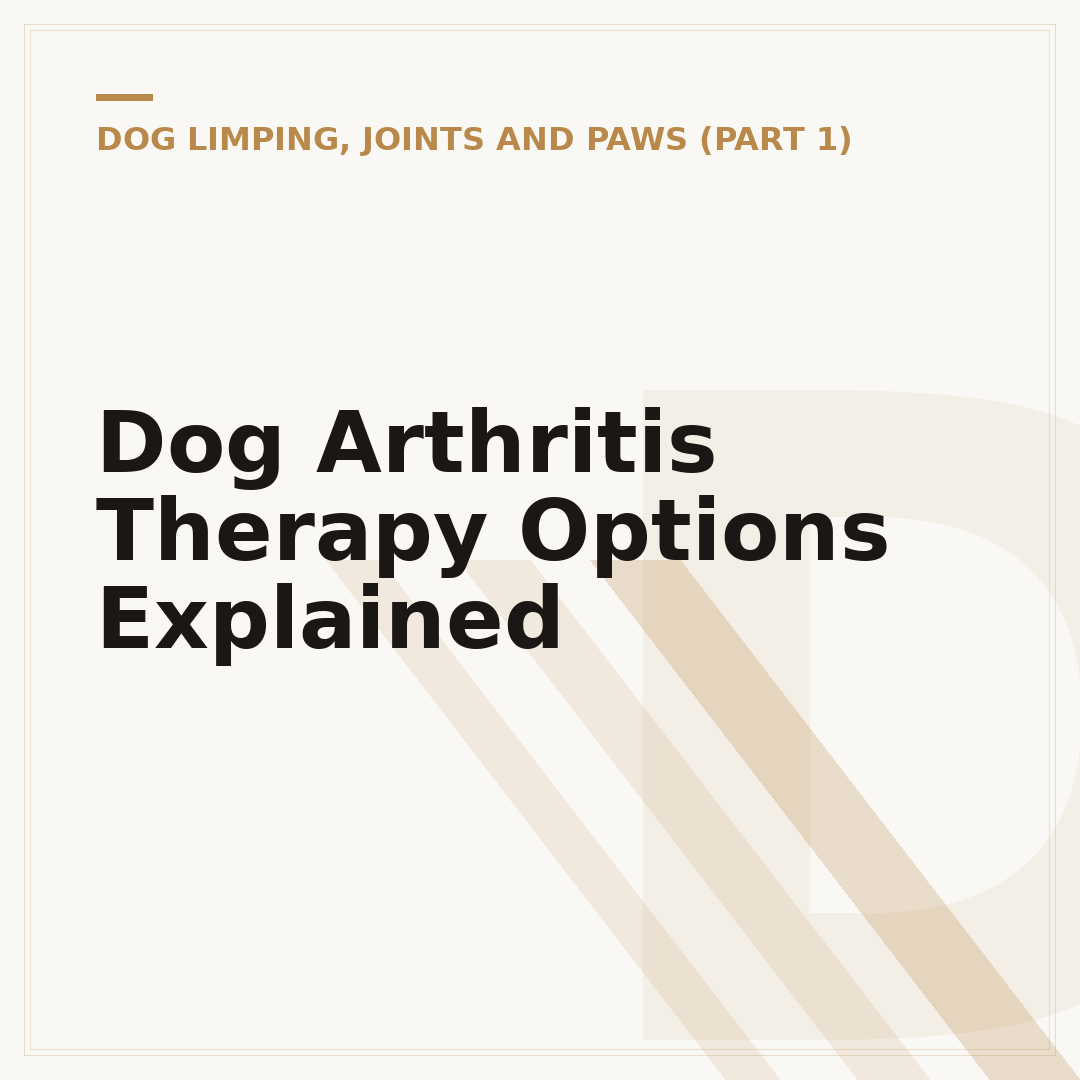 Dog Arthritis Therapy Options Explained