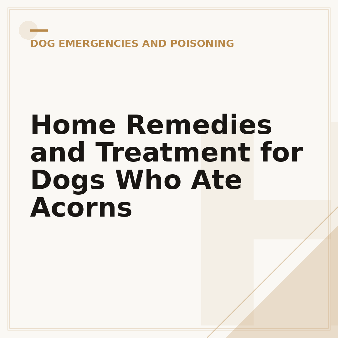 Home Remedies and Treatment for Dogs Who Ate Acorns