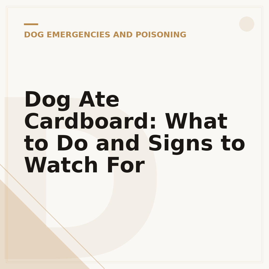 Dog Ate Cardboard: What to Do and Signs to Watch For