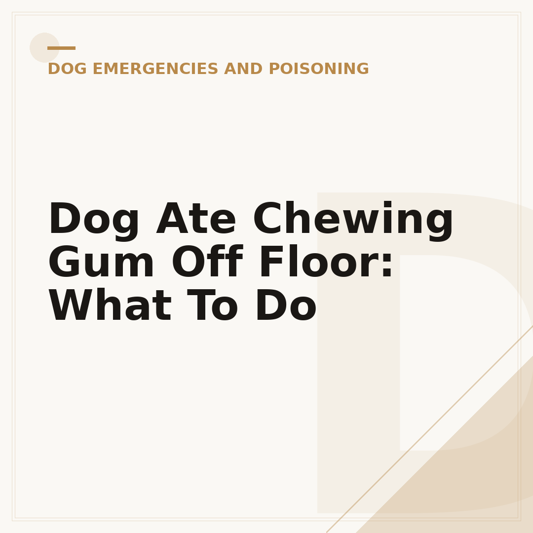Dog Ate Chewing Gum Off Floor: What To Do