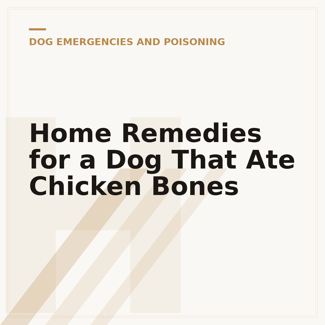 Home Remedies for a Dog That Ate Chicken Bones