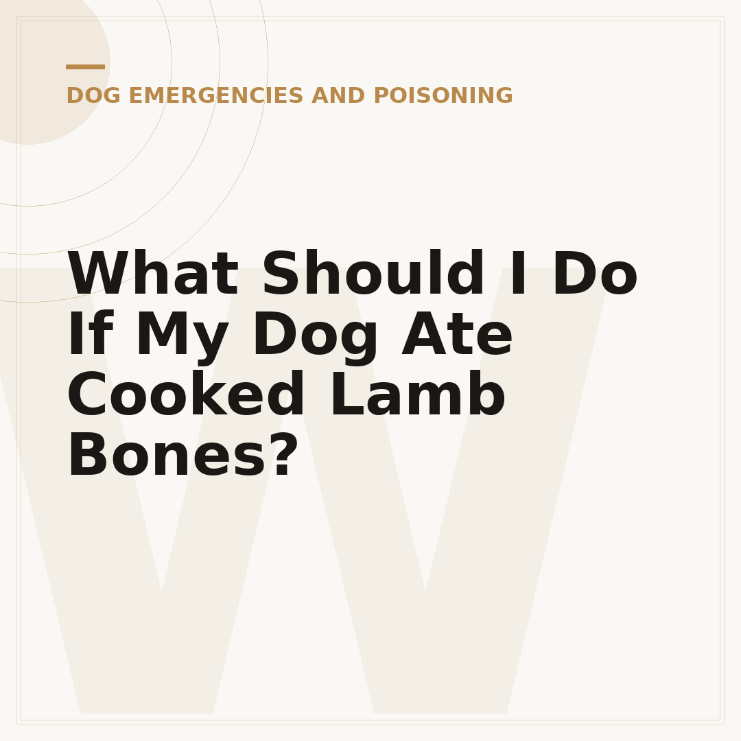What Should I Do If My Dog Ate Cooked Lamb Bones?