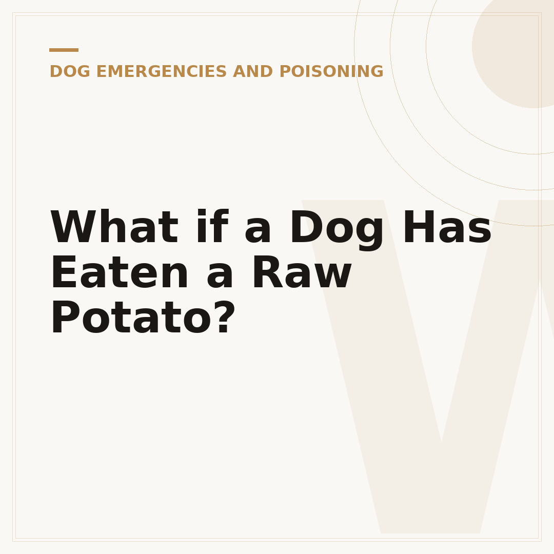 What if a Dog Has Eaten a Raw Potato?