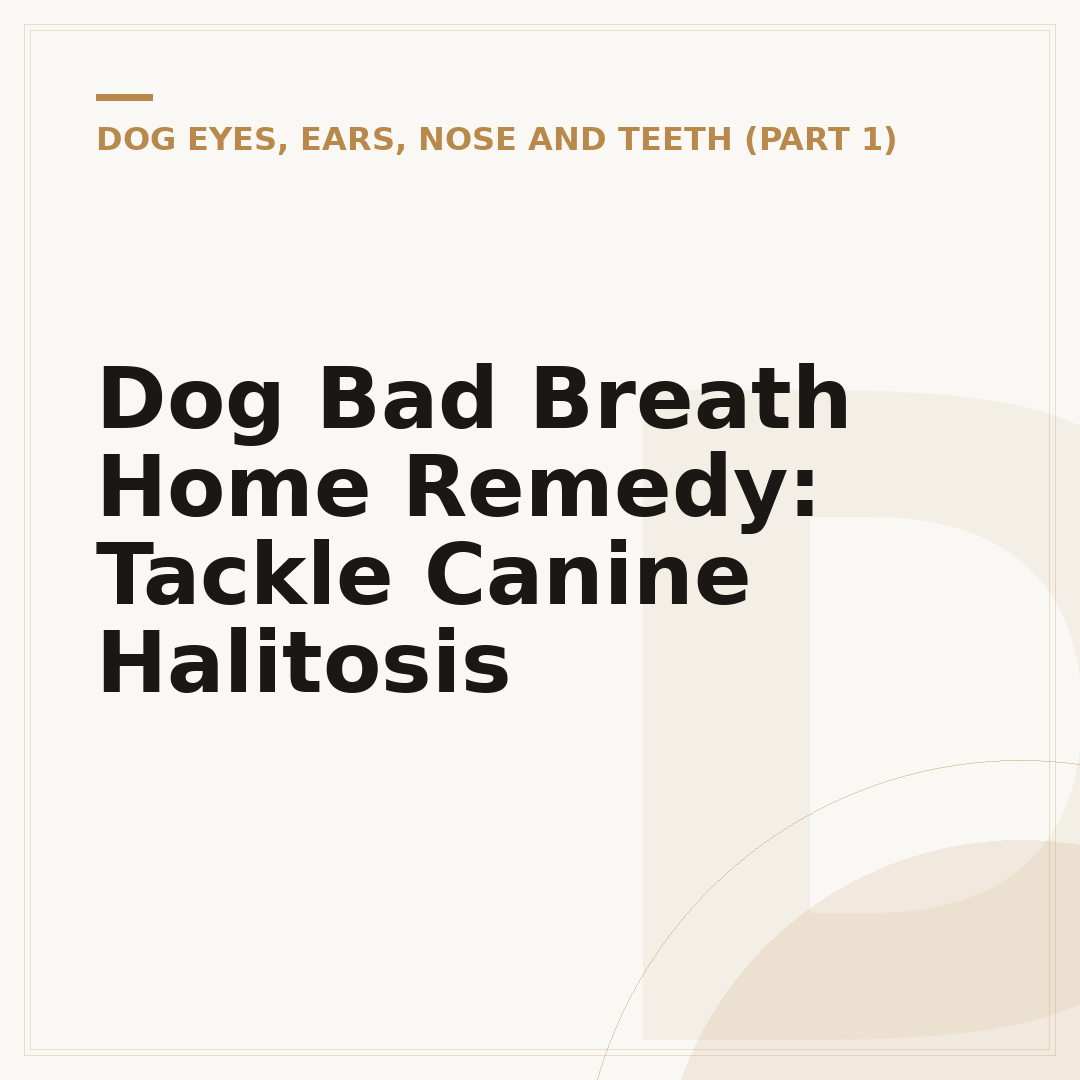Dog Bad Breath Home Remedy: Tackle Canine Halitosis